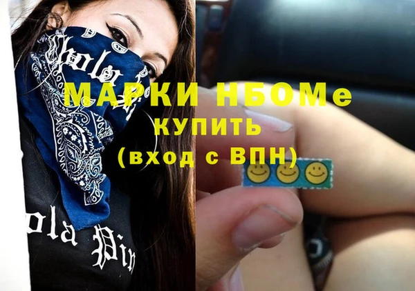 хмурый Абаза