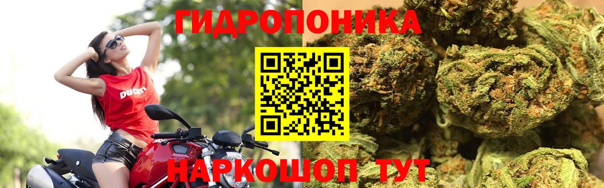 ГАШИШ Химки
